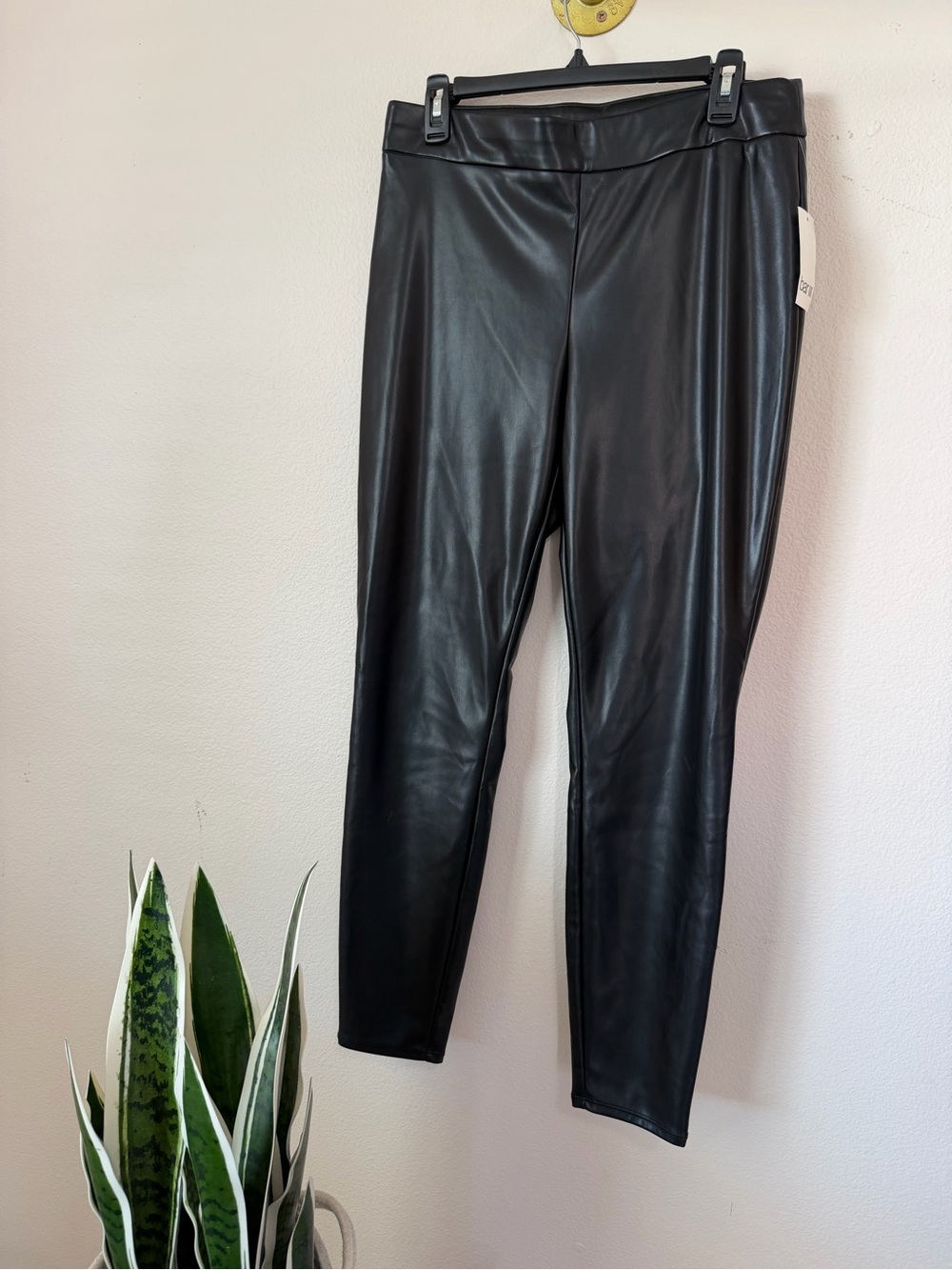 Bar III leather leggings